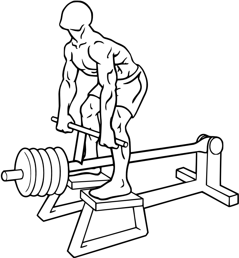 Chest-supported T-bar row