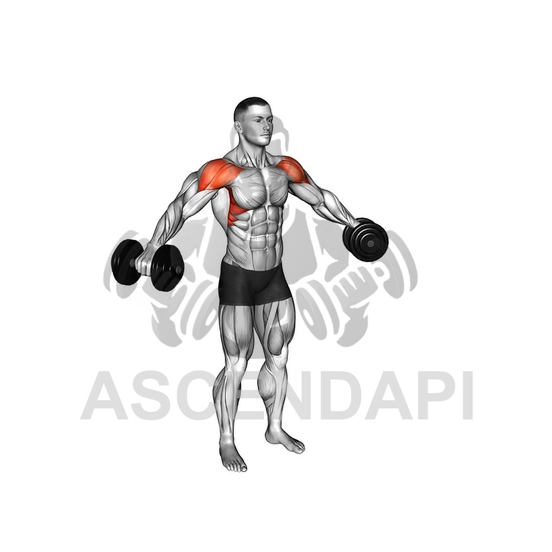 Lean-in DB lateral raise
