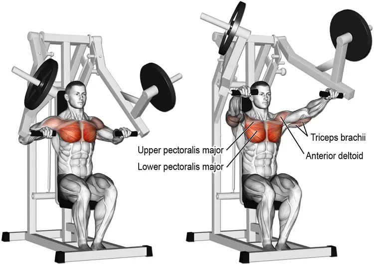 Machine chest press