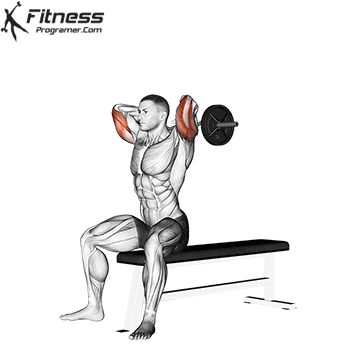 Overhead cable triceps extension