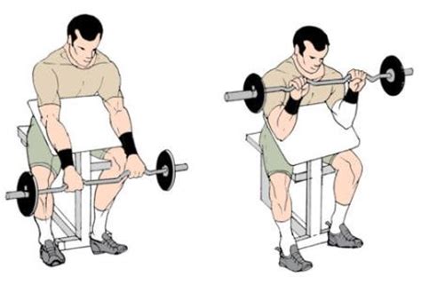 Reverse curl