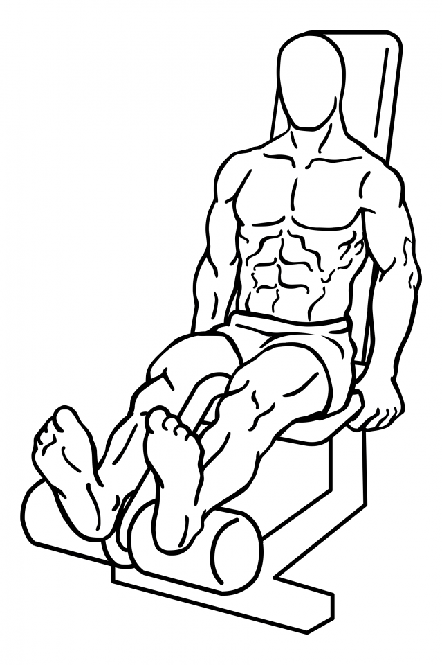 Seated leg curl